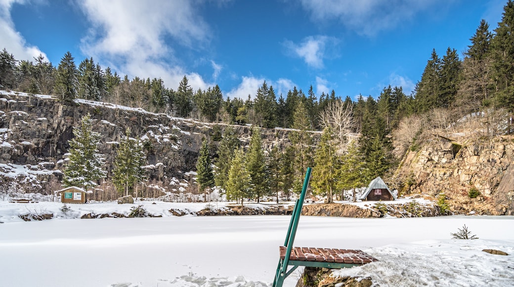 Spa Polar Bear's Club