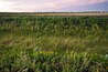 Parque Regional de la Pointe-aux-Prairies