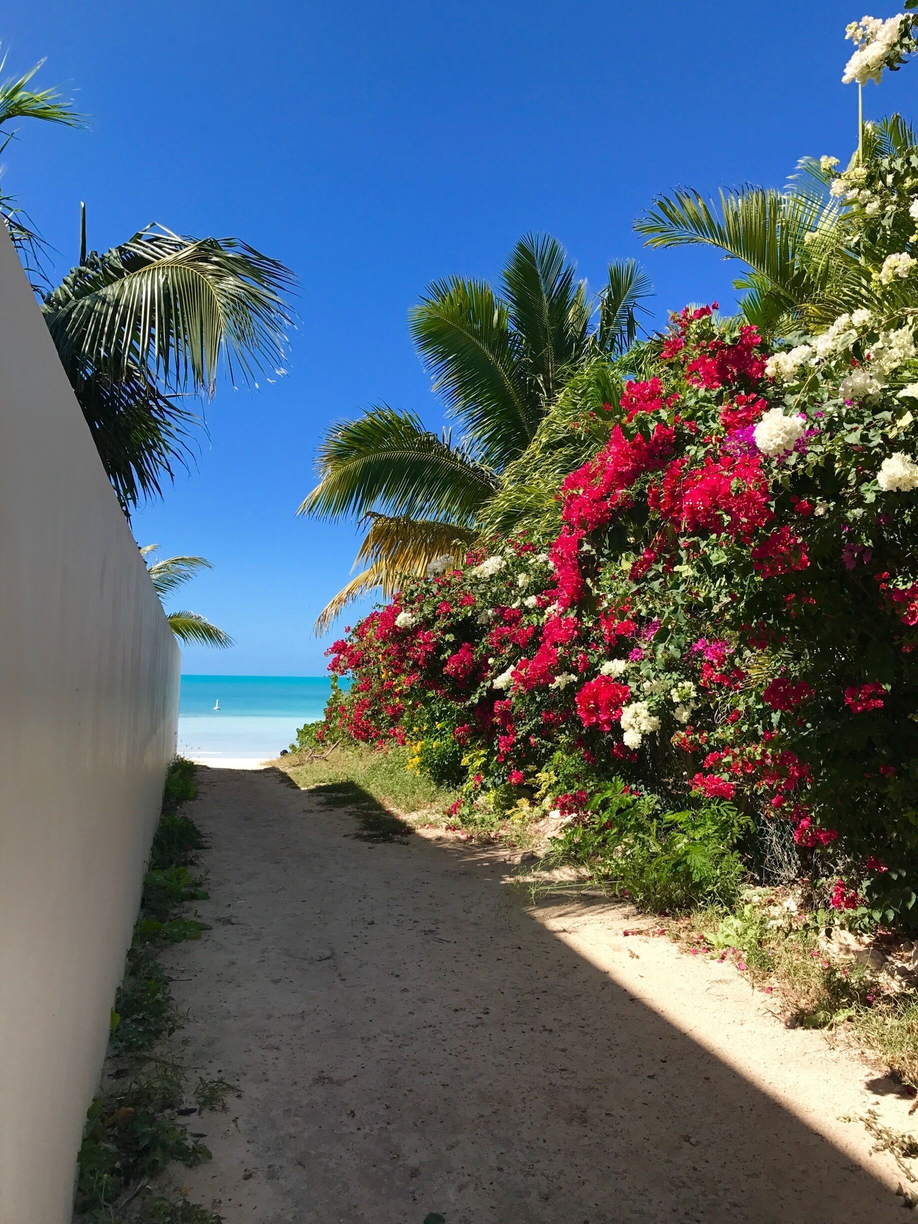 Stairway to Heaven!
This is the beach access to get to one of the most beautiful beaches in The Turks and Caicos 
Just leave me there
#BeachBound #anniversarytrip #TurksandCaicos