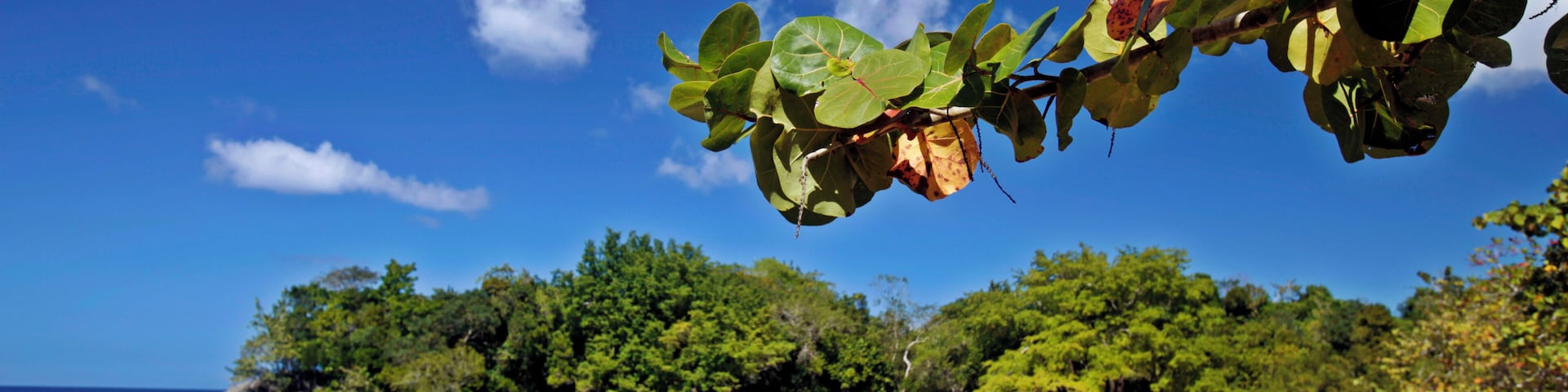 Playa Caleton, Rio San Juan, Dominican Republic.