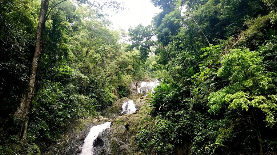 Cataratas de Argyle