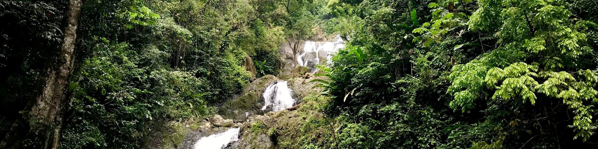 Lush greenery and cascading water at the beautiful Argyle Falls near Roxborough on the Caribbean island of Tobago (West Indies) with a tourist swimming