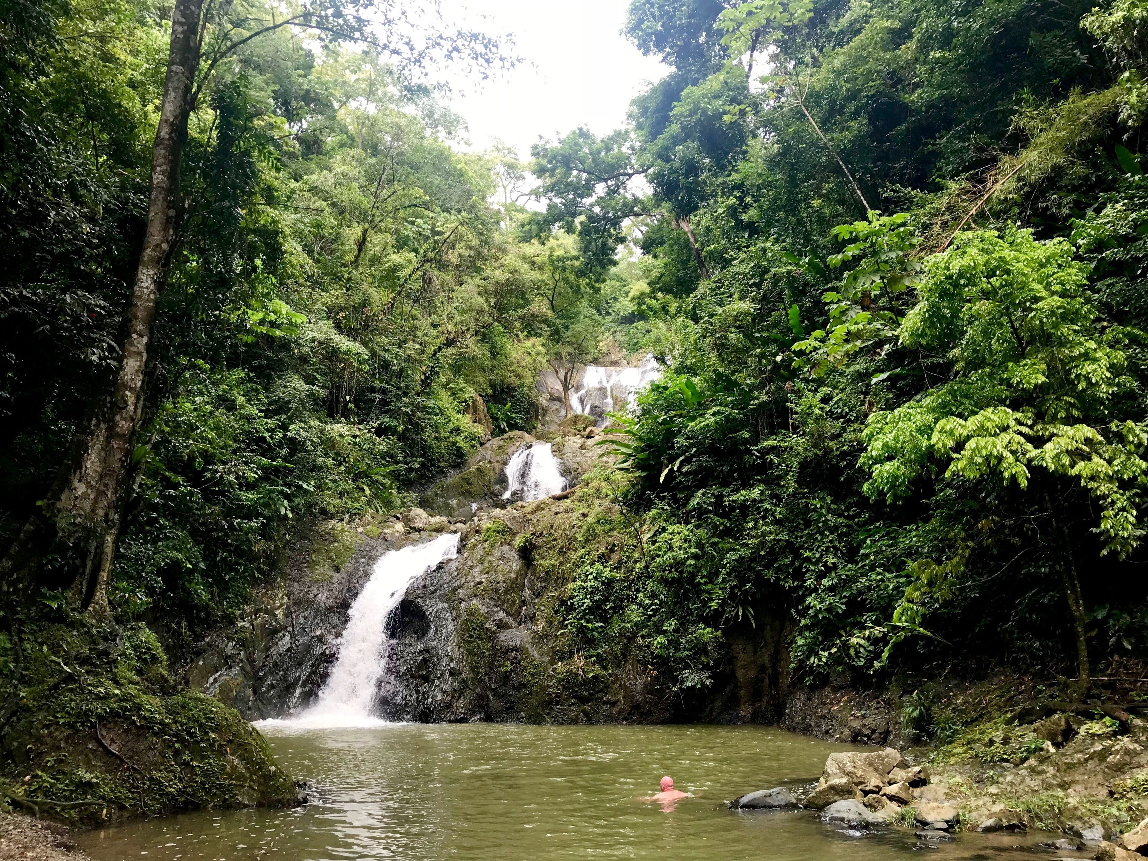 A waterfall in a lush forest with dense greenery and a person swimming in the water.