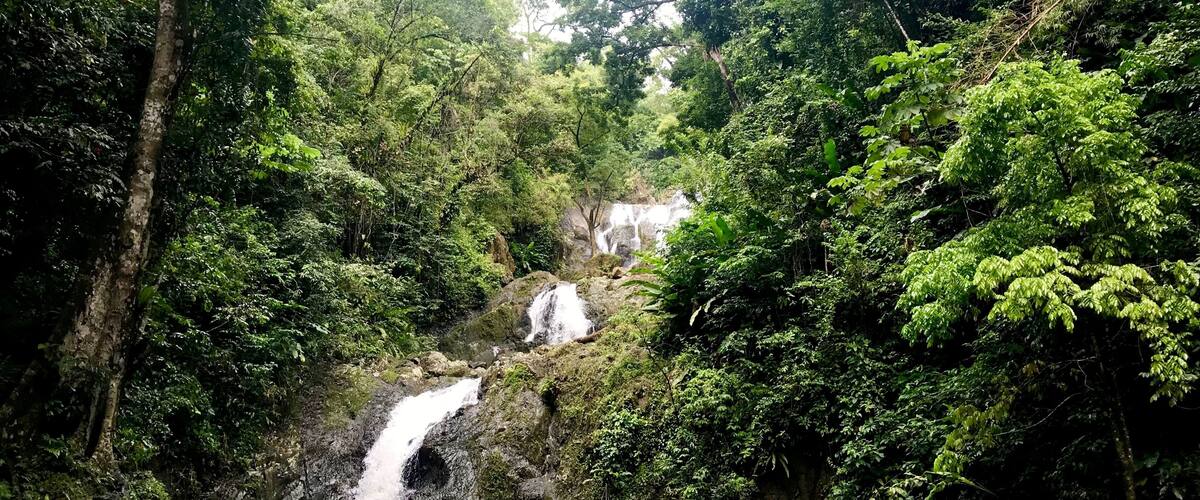 A waterfall in a lush forest with dense greenery and a person swimming in the water.
