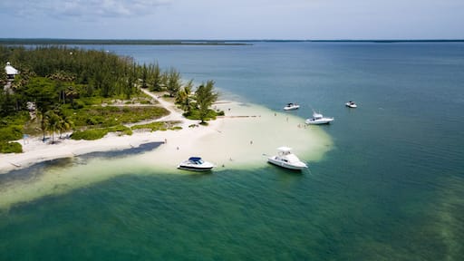 Starfish Point in Grand Cayman during the summer