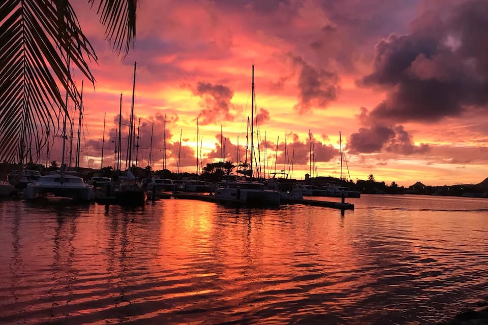A marina at sunset with boats docked and palm trees in the foreground.