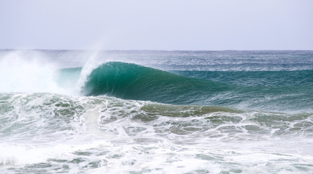 Sandy Beach showing general coastal views and waves