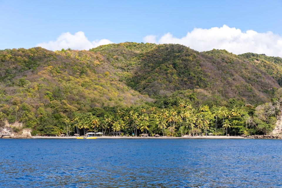 A tropical beach with palm trees, a clear blue sea, and a forested hill in the background.