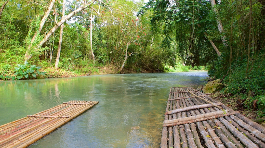 Montego Bay fasiliteter samt elv eller bekk