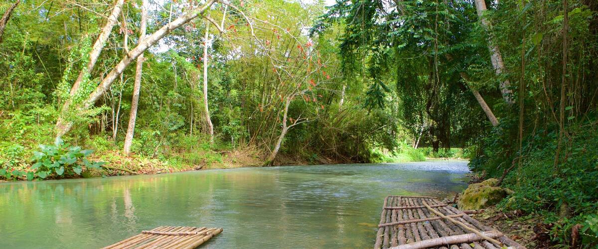 Montego Bay featuring a river or creek