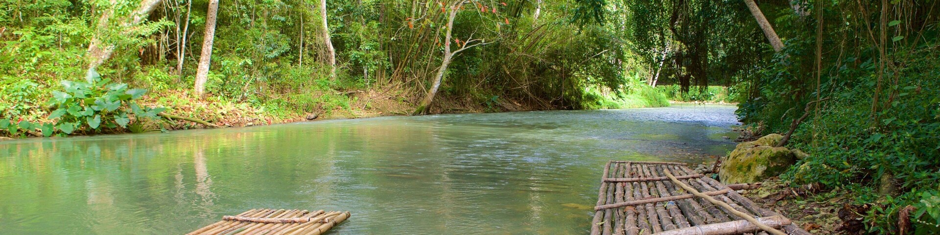 Montego Bay featuring a river or creek