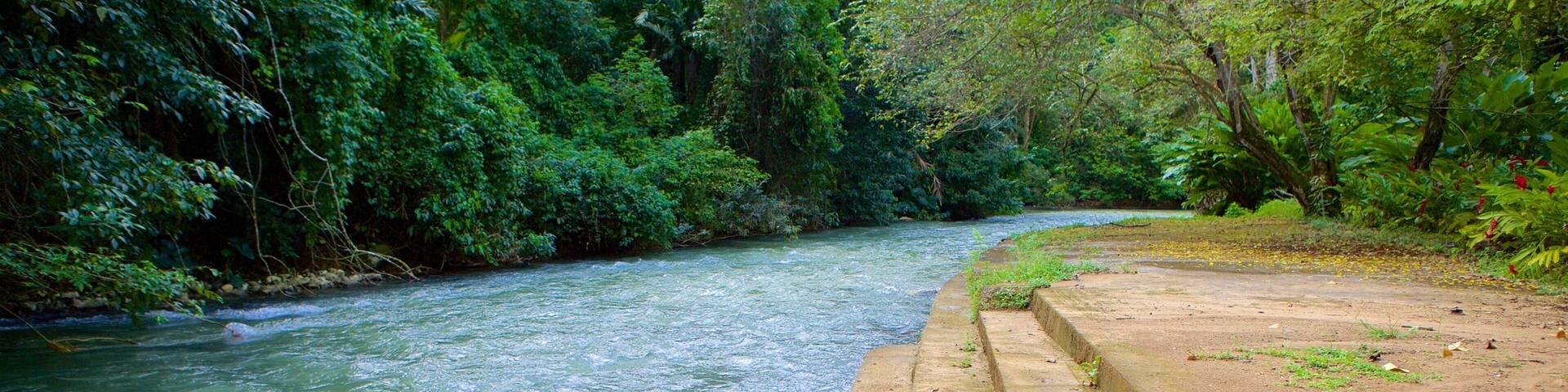 A river with a concrete walkway and dense green foliage.