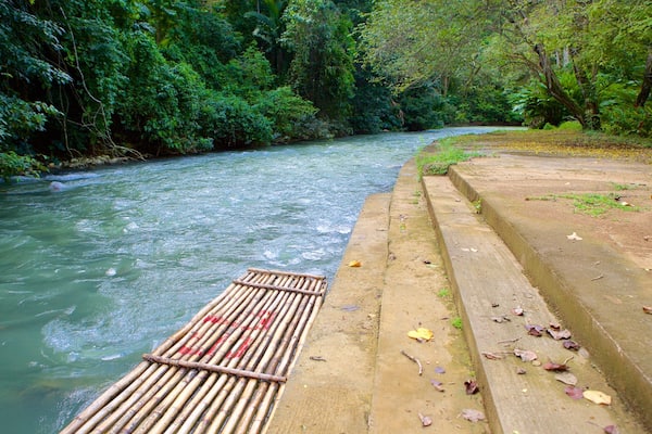 A river with a concrete walkway and dense green foliage.