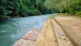 A river with a concrete walkway and dense green foliage.