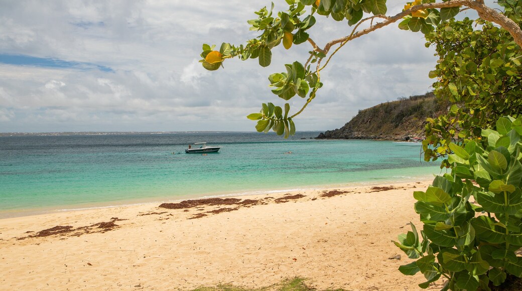 Happy Bay Beach featuring a beach and general coastal views
