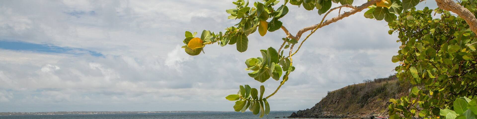 Happy Bay Beach featuring a beach and general coastal views
