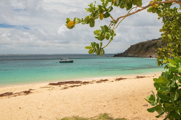 Happy Bay Beach featuring a beach and general coastal views