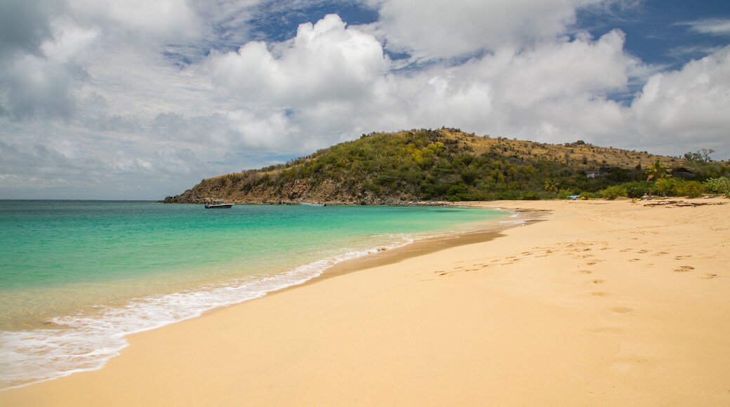 Happy Bay Beach which includes a sandy beach and general coastal views