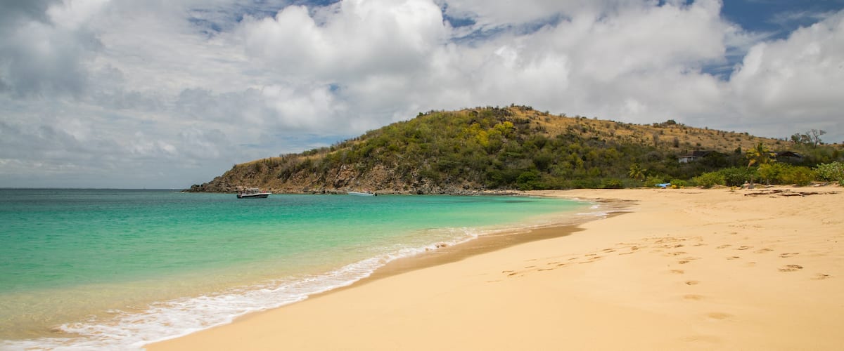 Happy Bay Beach which includes a sandy beach and general coastal views