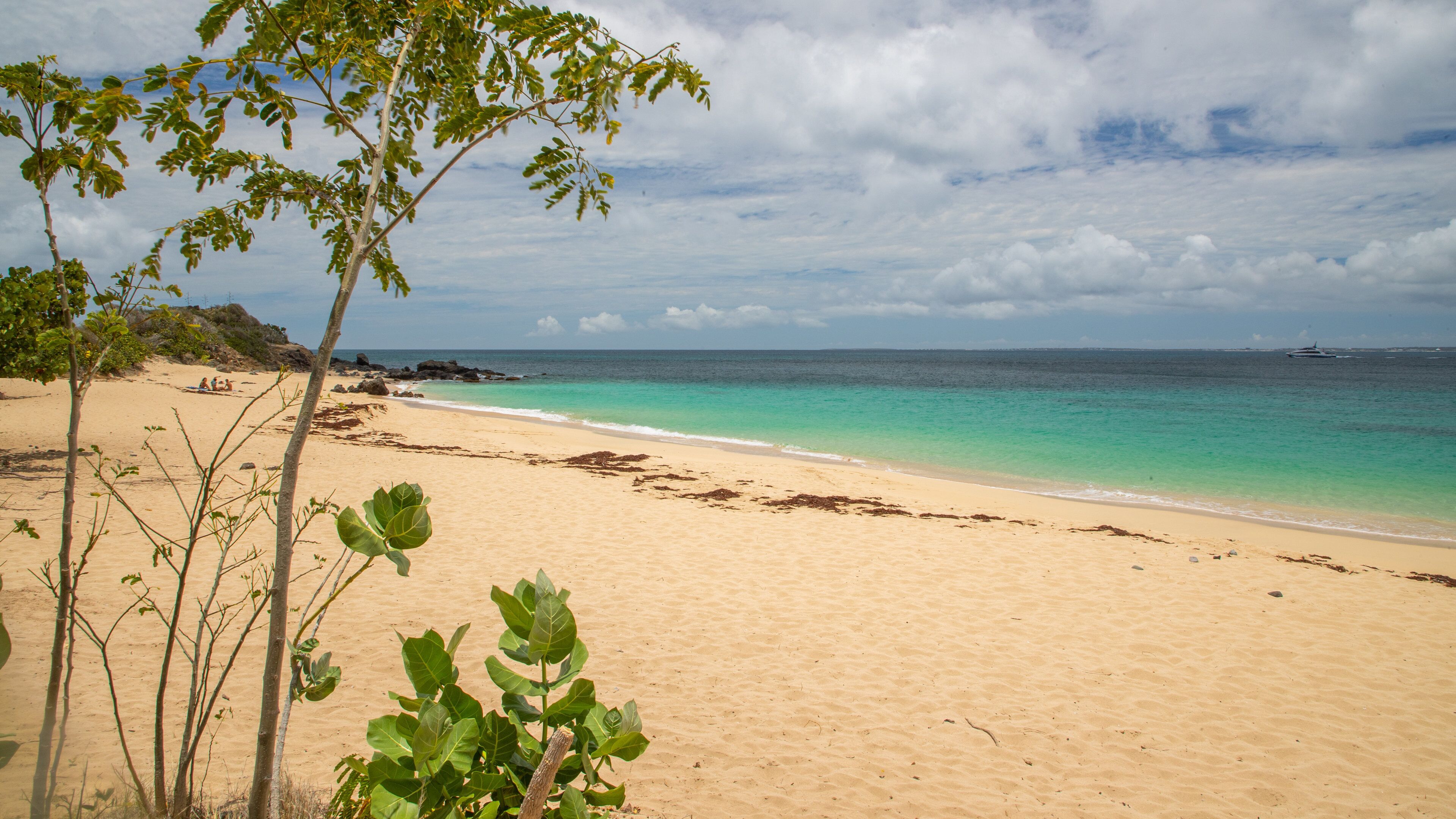 Happy Bay Beach featuring general coastal views and a sandy beach