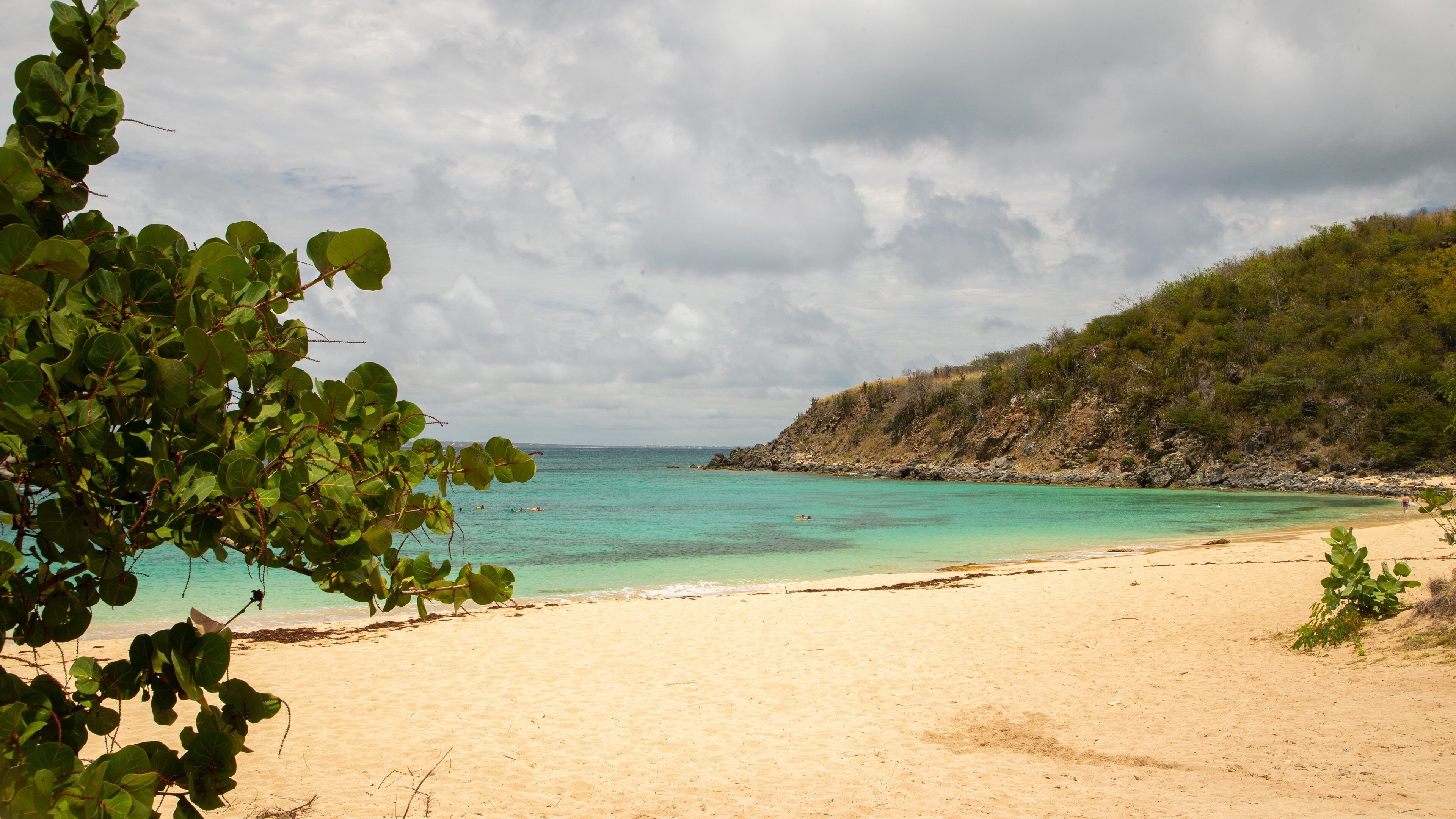Happy Bay Beach showing a beach and general coastal views