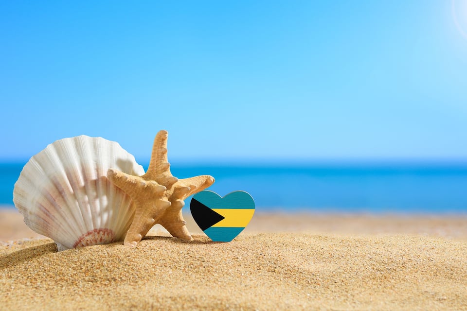 Un coquillage et une étoile de mer sur une plage de sable, sous un ciel bleu dégagé.