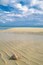 Conch shell on empty beach in Lucayan National Park on Grand Bahama Island, Bahamas, Caribbean