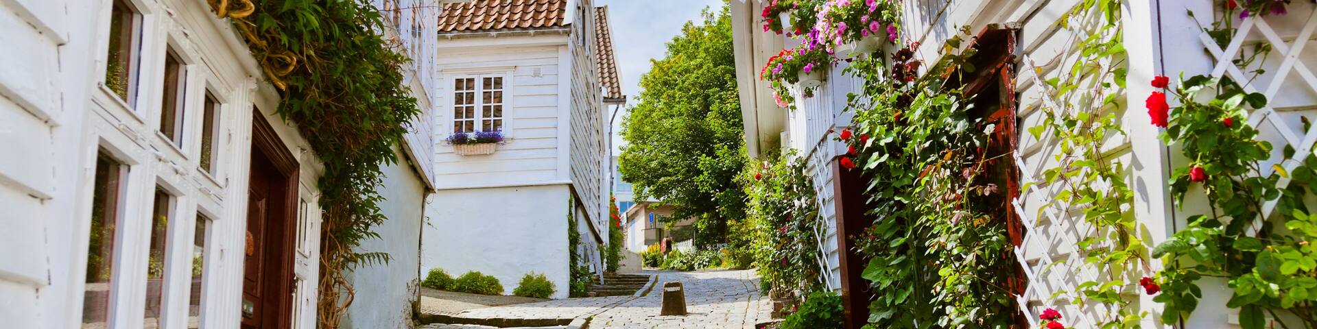 A cobblestone street flanked by white buildings with red and pink flowers.