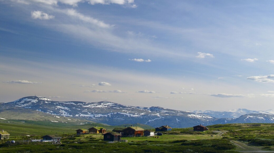 Dovrefjell