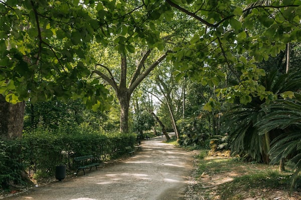 Jardim Botânico Tropical showing a park