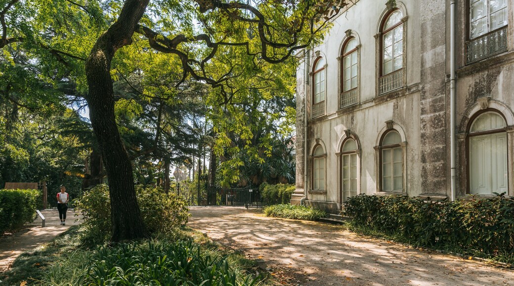 Jardim Botânico Tropical featuring heritage elements and a garden