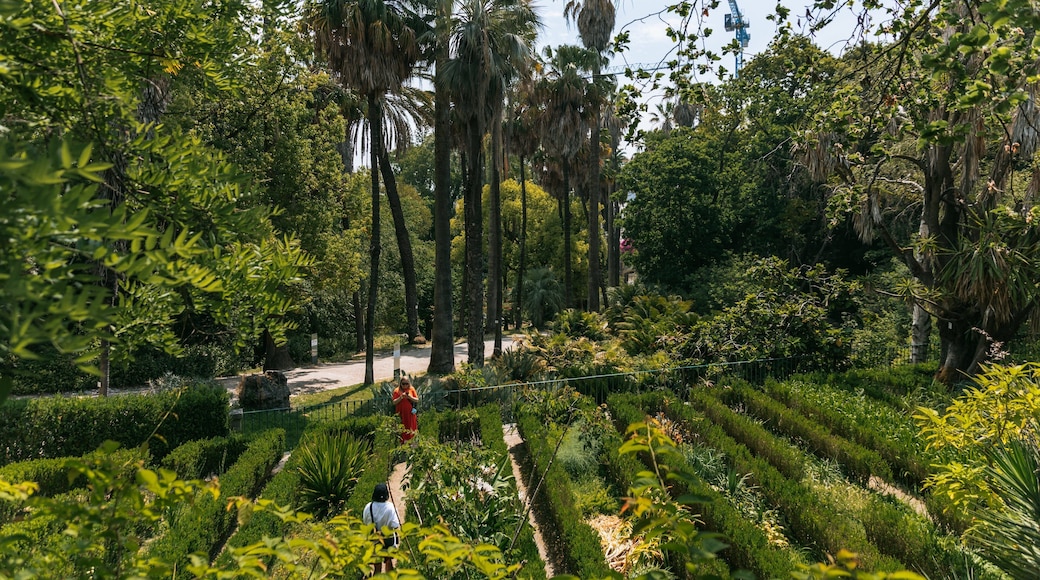 Jardim Botânico Tropical which includes a garden