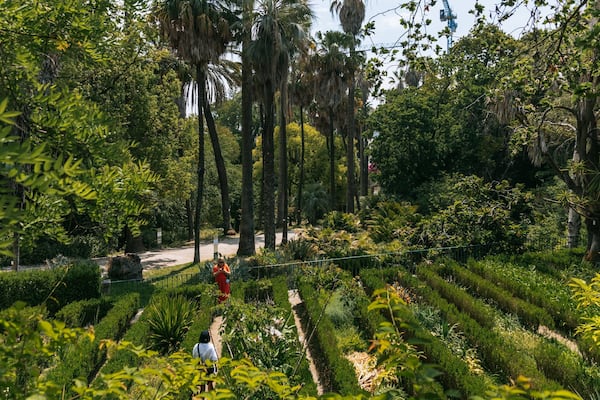 Jardim BotĂąnico Tropical which includes a garden