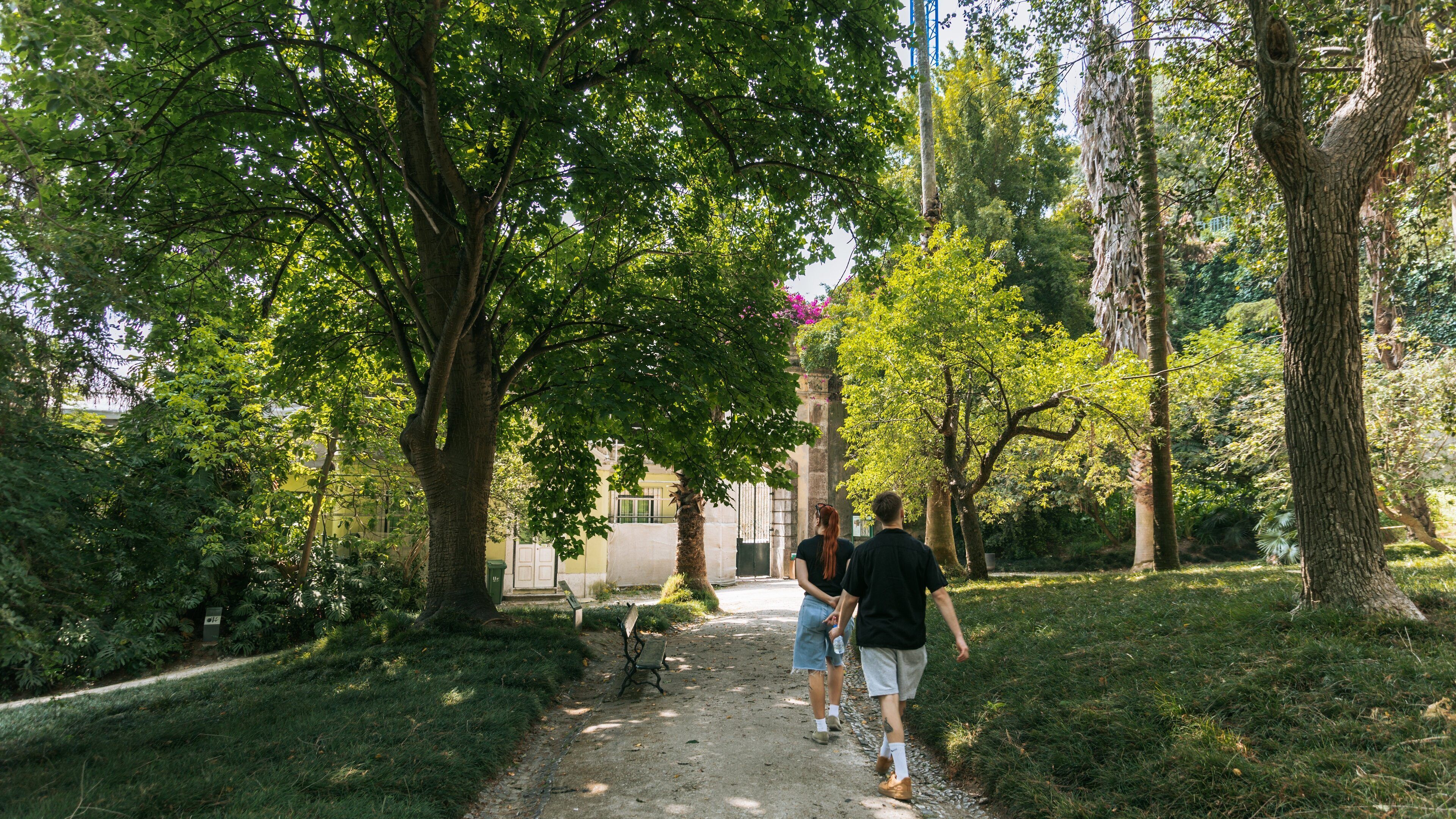 Jardim Botânico Tropical which includes a garden as well as a couple
