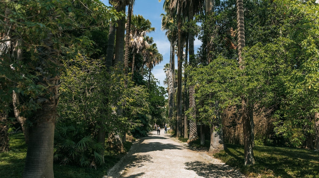 Jardim Botânico Tropical featuring a garden
