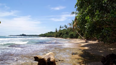 A beach with clear water, a large rock in the foreground, and dense tropical foliage along the shore.