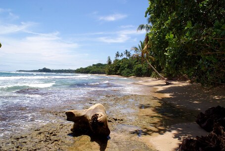 Ein Strand mit klarem Wasser, einem großen Felsen im Vordergrund und dichter tropischer Vegetation am Ufer.