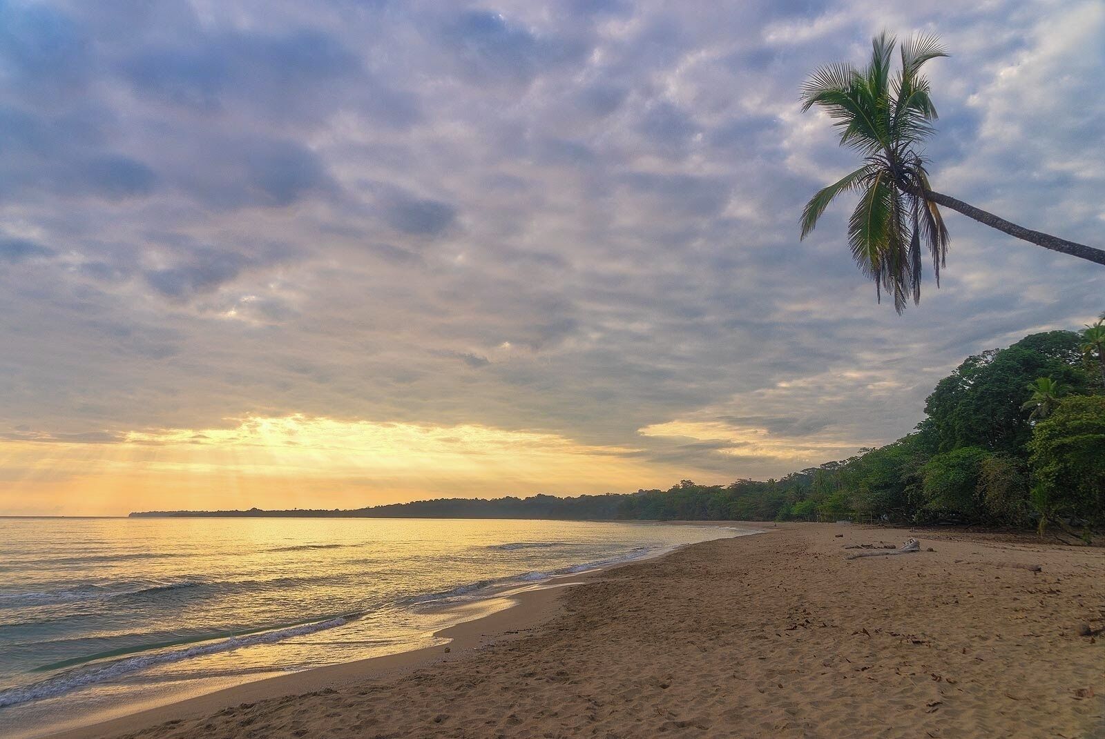 Cocles beach, Puerto Viejo.