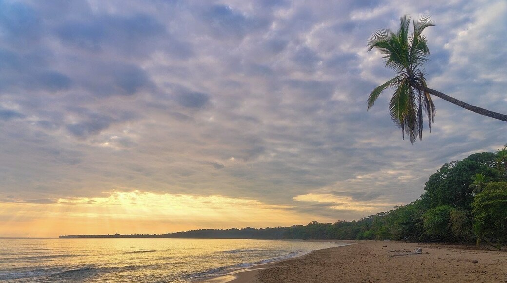 Cocles beach, Puerto Viejo.