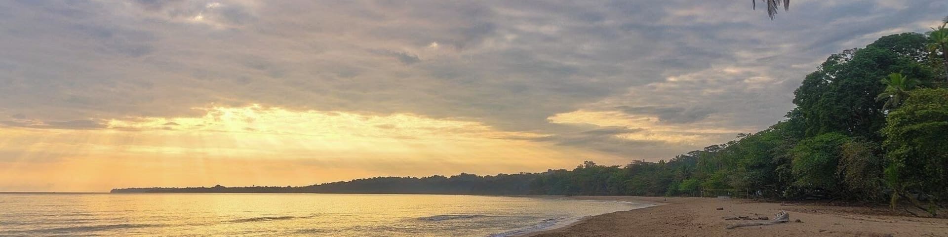 Cocles beach, Puerto Viejo.