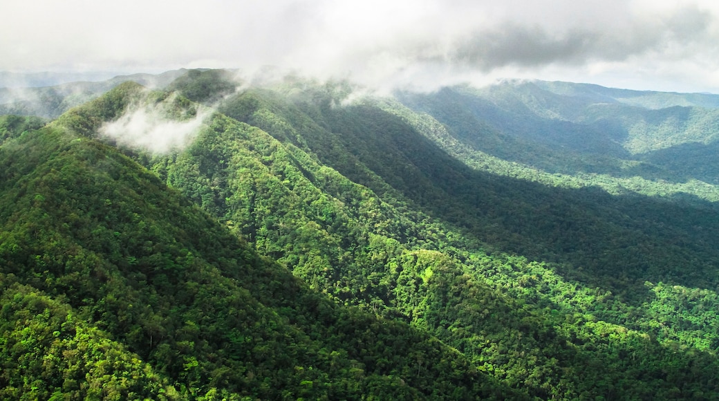 Cockscomb Basin Wildlife Sanctuary