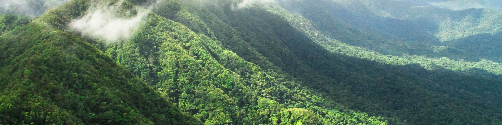 Pristine primary forest dominates the landscape in this aerial shot of the Cockscomb Basin, Belize.