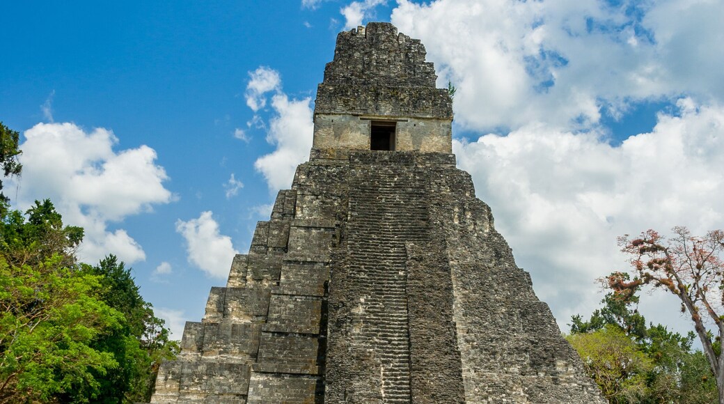 tikal mayan ruins in guatemala