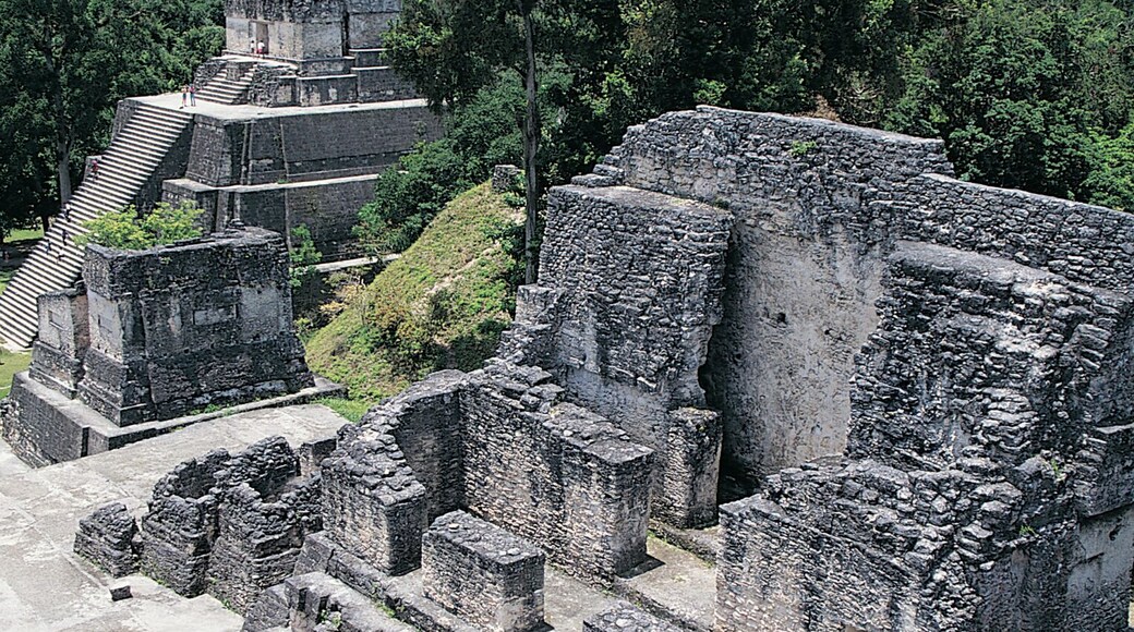 Elevated View of the Central Acropolis, Tikal, Guatemala