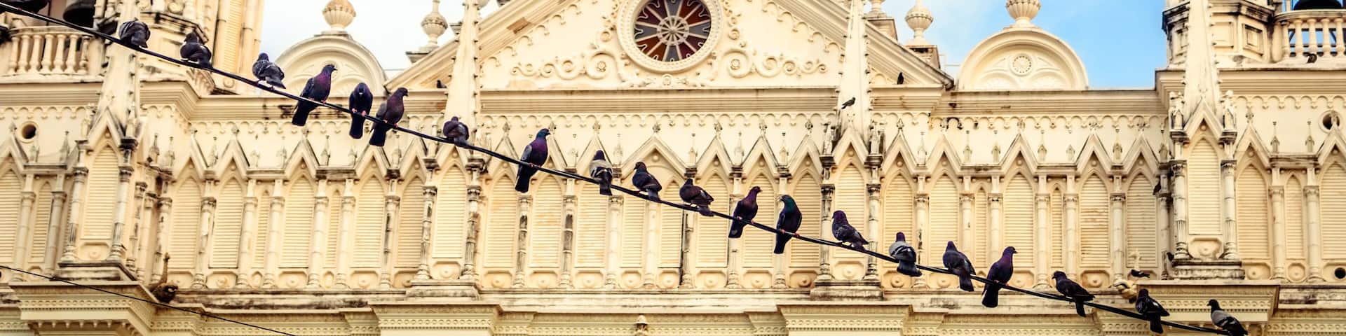 Birds standing in a wire in front of the gothic facade of the Santa Ana Cathedral in El Salvador.