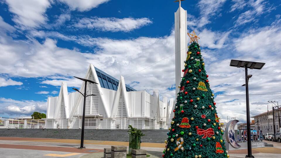 A large Christmas tree with ornaments and a star on top, a modern building with a unique design, and a clear blue sky with clouds.
