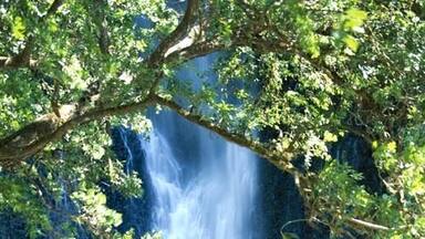 A waterfall cascading over a rocky cliff surrounded by dense foliage.