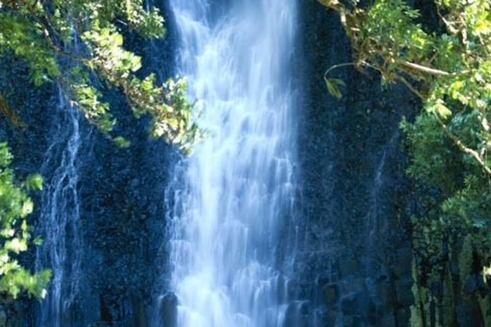 Ein Wasserfall stürzt über eine felsige Klippe, umgeben von dichtem Grün.