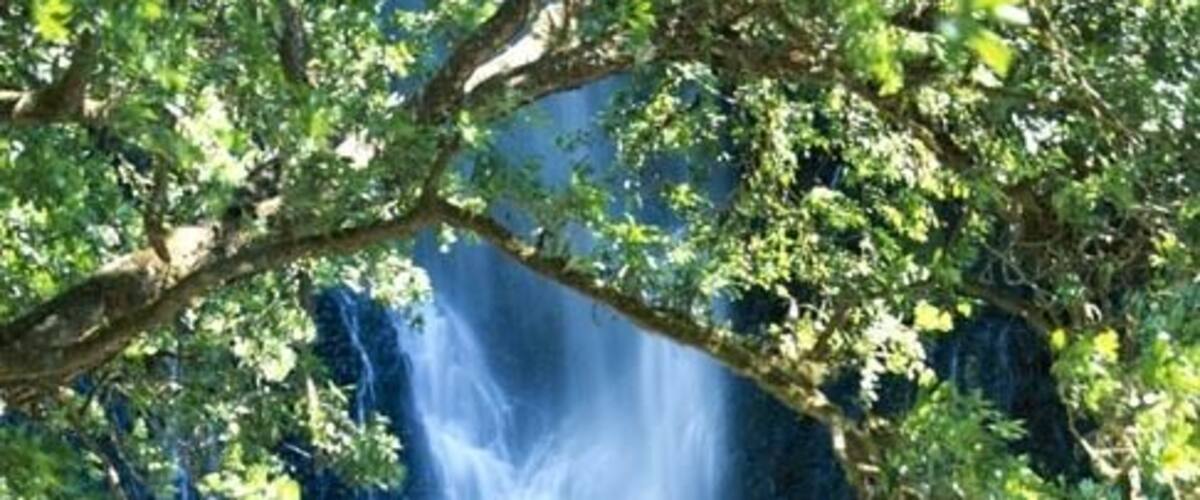 A waterfall cascading over a rocky cliff surrounded by dense foliage.