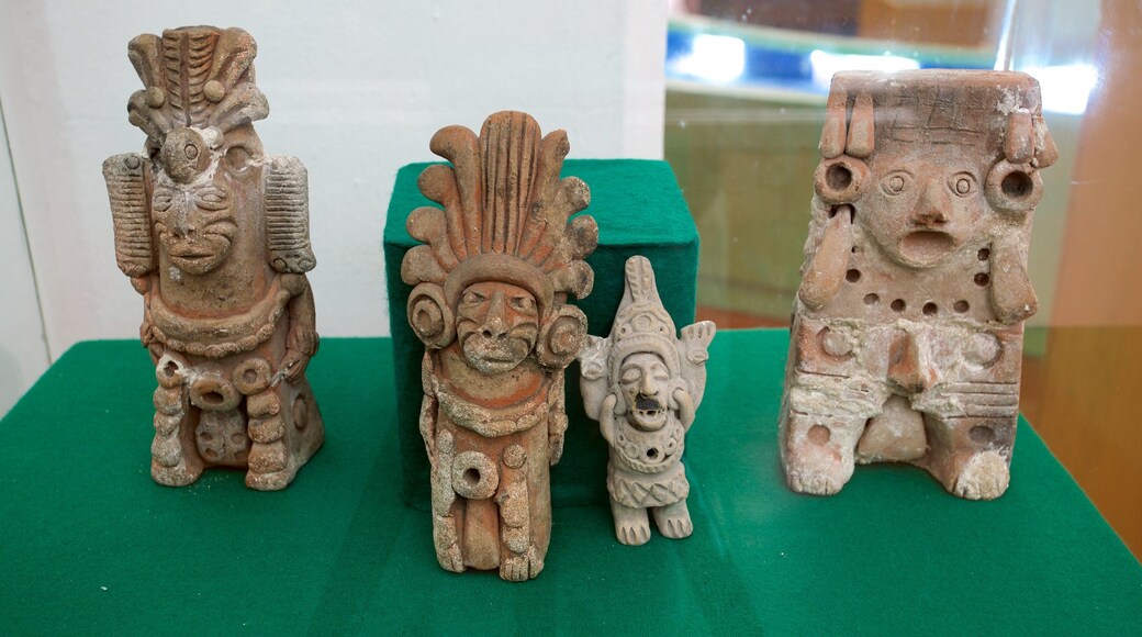 Museo Victoriano Nieves Céspedes mostrando vistas interiores